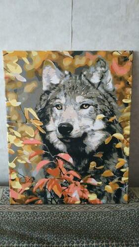 Фотографии готовых работ картин по номерам и алмазной мозаики