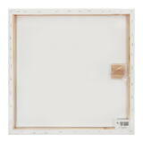 Тип товара Коробка 20 шт.: Холст Две картинки на подрамнике 50X50