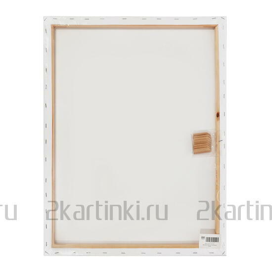 Тип товара Коробка 20 шт.: Холст Две картинки на подрамнике 50X65