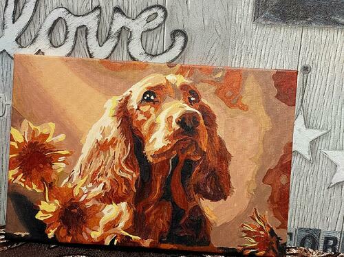 Фотографии готовых работ картин по номерам и алмазной мозаики