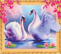 Белые лебеди под цветущей сакурой