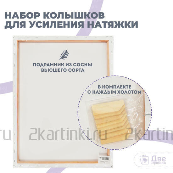 Тип товара Холст Две картинки на подрамнике 50X65