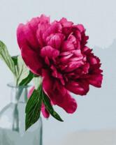 Бордовый пион в бутиле