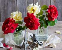 Цветы в стаканах