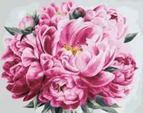 Цветущие пионы