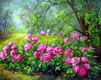 Цветущие пионы в тенистом парке