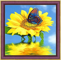 Бабочка на цветущем подсолнухе