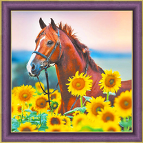 Высокая лошадь в поле подсолнухов