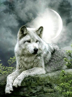 в интернет-магазине