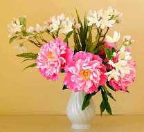 Белые цветочки и пионы