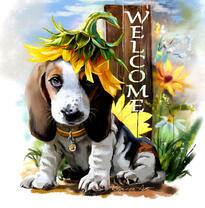 Щенок Бассет-хаунда 