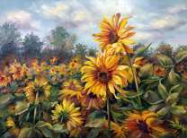 Поле с подсолнухами