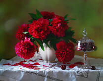 Ваза с алыми пионами и черешня