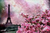 Сакура и Эйфелева башня