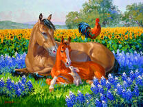 Лошадь с жеребенком и петух в поле