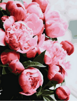 Пышные пионы