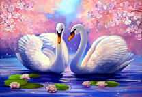 Лебединая пара под цветение сакуры