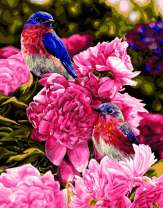 Птичка в пионах