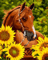 Лошадь у цветущих подсолнухов
