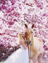 Девушка с лошадью под цветущей сакурой