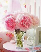 Нежные пионы в стаканчике