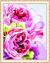 Изображение больших розовых пионов