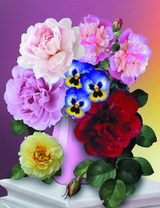 Букет пионов с анютиными глазками