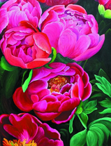 Красивые полные пионы