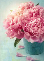 Розовые пионы в вазе цвета лазурь