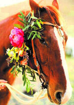 Лошадь с пионом