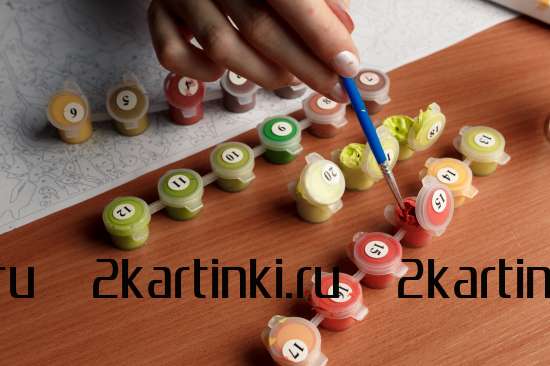 Картина по номерам 40x50 VA-3650 Кот среди перышек за 1100 руб. в интернет-магазине Картина по номерам 40x50 Кот среди перышек