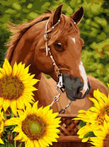 Молодая лошадь и цветущие подсолнухи