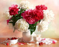 Пионы и черешни