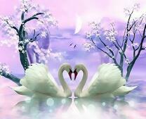 Два лебедя под луной и цветущей сакурой