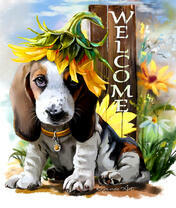 Пес с подсолнухом на голове