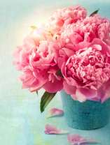 Пионы в кружке