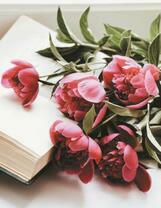 Букет пионов на книге