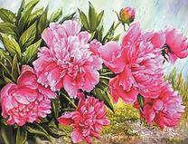 Пионы на рассвете