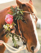 Лошадь с цветочным украшением