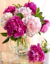 Объемные пионы в стеклянной вазе