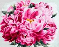 Раскрывшиеся пионы