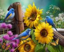 Синие птицы возле желтых подсолнухов