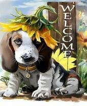 Щенок породы бассет под подсолнухом