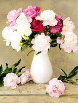 Пышный букет пионов в белой вазе